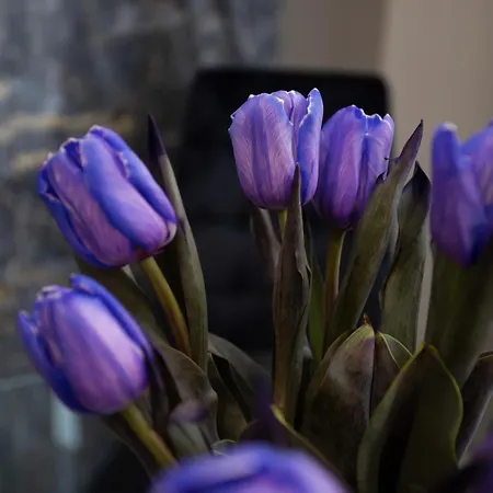 Апартаменти Family Boutique 4