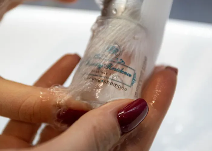 Family Boutique 4 * Lviv