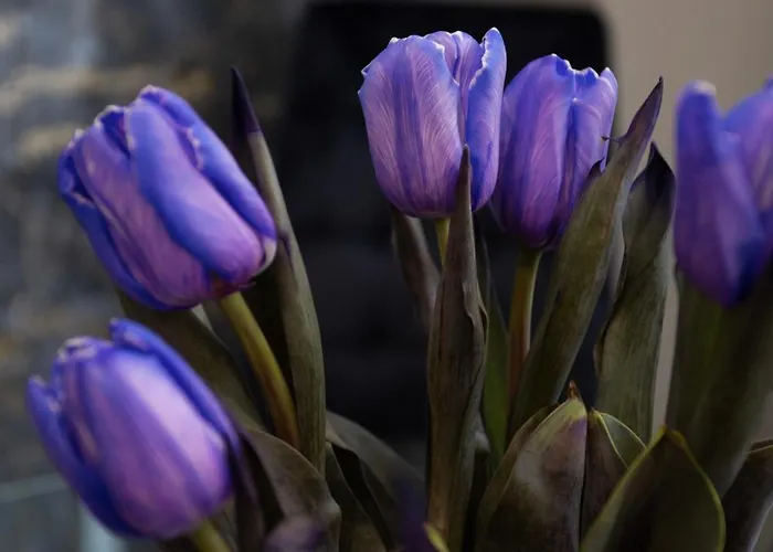 Lägenhet Family Boutique 4