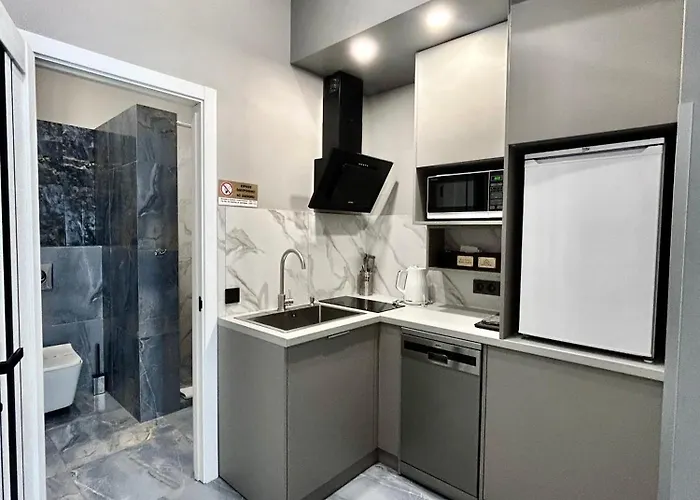 Family Boutique 4 公寓 利沃夫